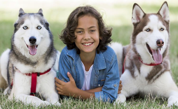 The Most Gentle Dog Breeds for Families